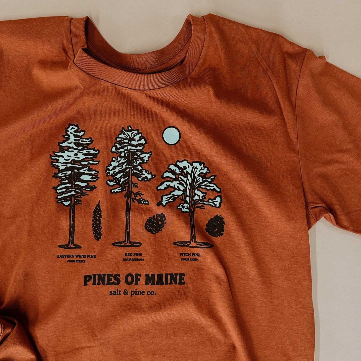 Pines of Maine