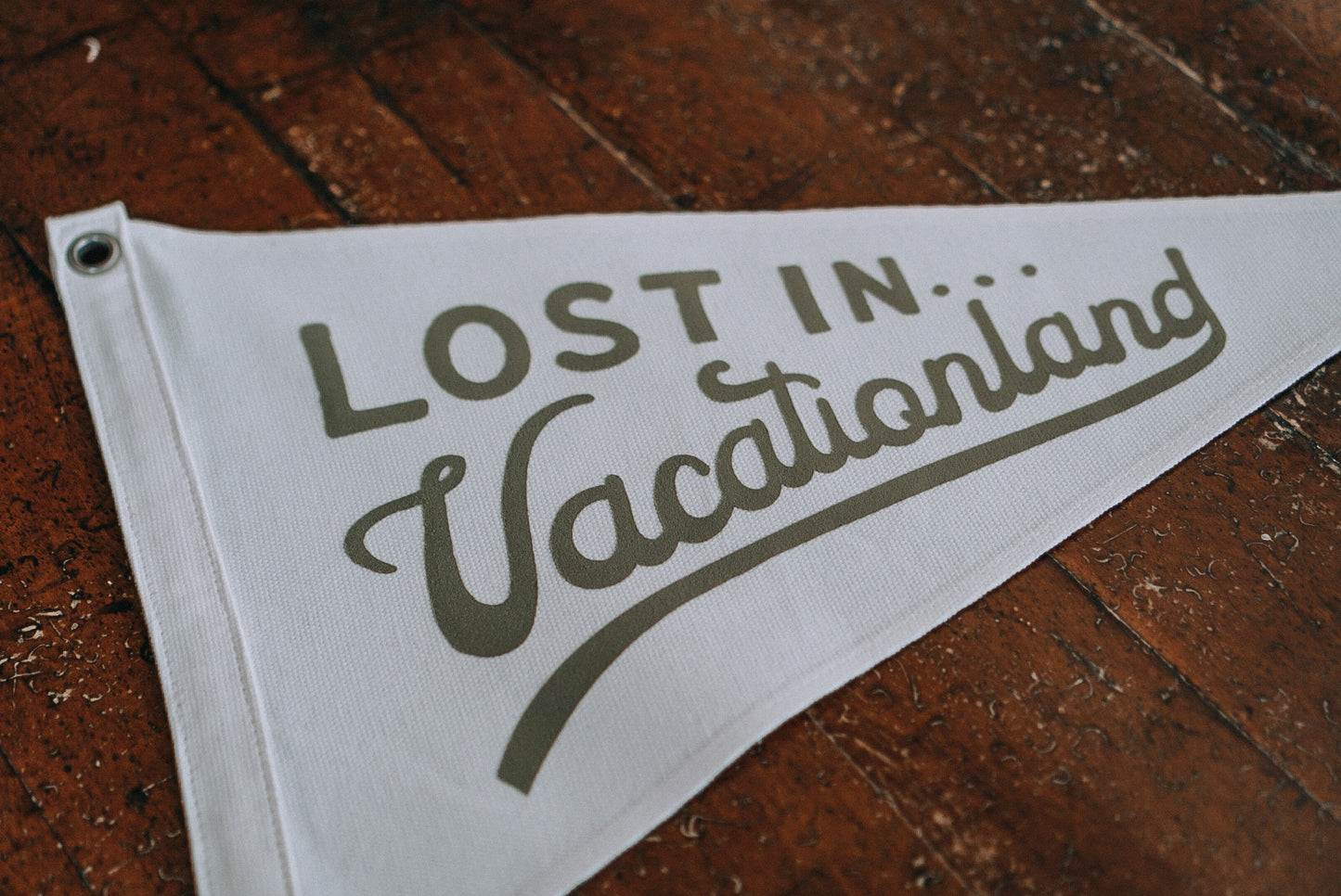 NEW! Lost in Vacationland Pennant Flag